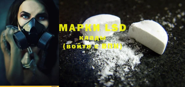 spice Горняк