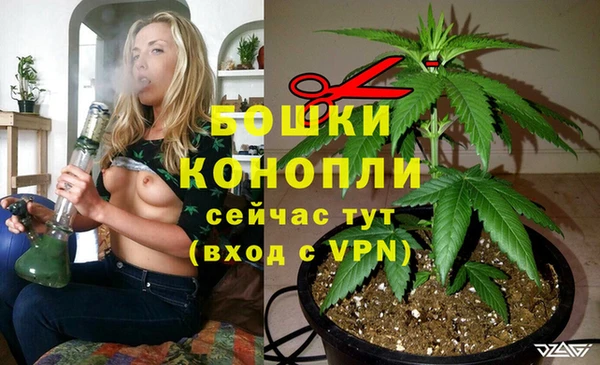 spice Горняк