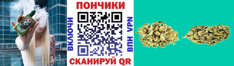 купить  цена  Ладушкин  Шишки марихуана конопля 